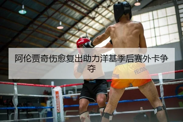 阿伦贾奇伤愈复出助力洋基季后赛外卡争夺